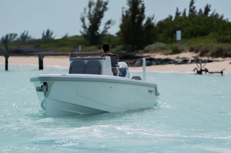 Slide: The Image of A 2026 Dynamic D-250DF boat cruising in clear turquoise waters near a sandy beach. - 30
