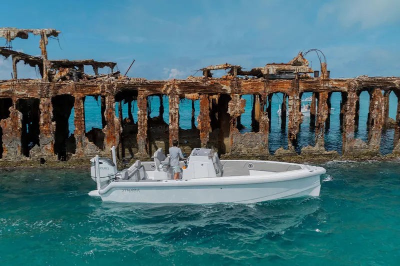 Slide: The Image of Boat Dynamic D-250DF 2026 near rusted pier in turquoise waters. - 4