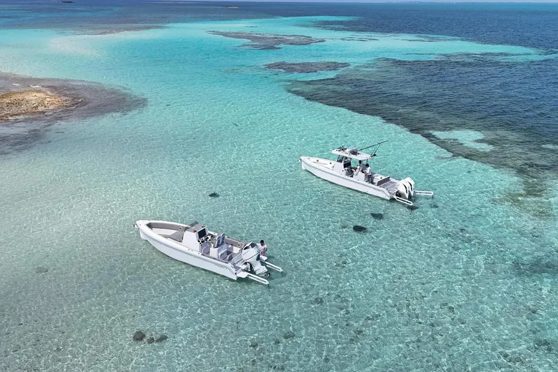 Slide: The Image of Two Dynamic D-250DF boats in clear turquoise water, 2023 model. - 9