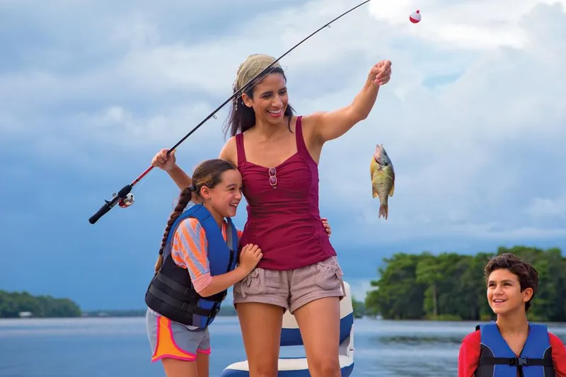 Slide: The Image of Manufacturer Provided Image - 38