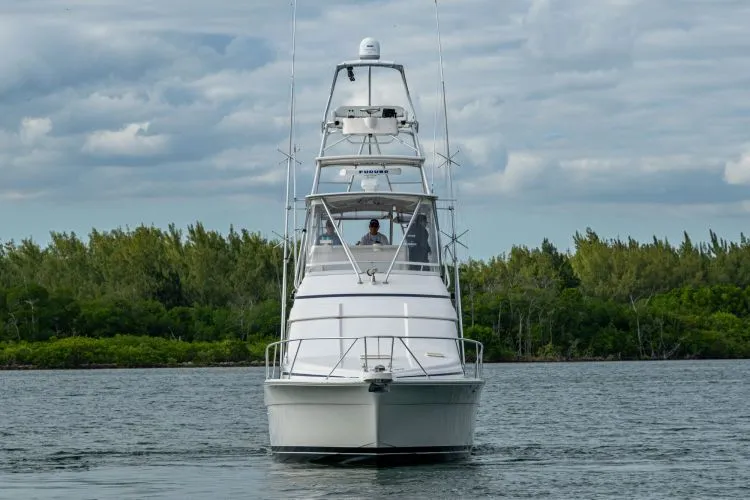 Slide: The Image of 2001 Bertram 390 - Image 3 - 3