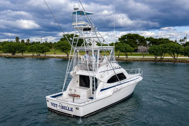 Slide: The Image of 2001 Bertram 390 - Image 5 - 5