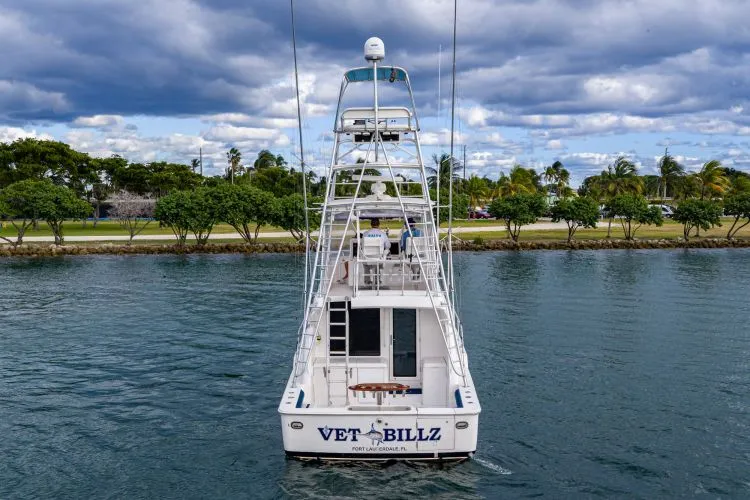 Slide: The Image of 2001 Bertram 390 - Image 6 - 6