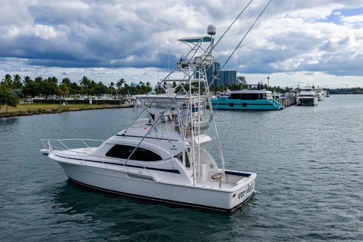 Slide: The Image of 2001 Bertram 390 - Image 7 - 7