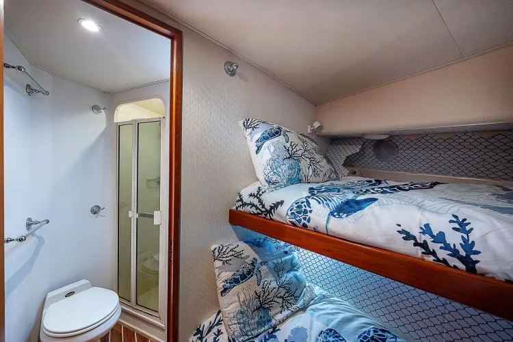 Slide: The Image of 1998 Viking 47 Convertible - Image 40 - 40