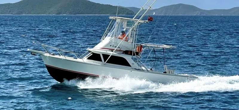 Slide: The Image of 1964 Bertram 31 Sportfisher - Image 3 - 3