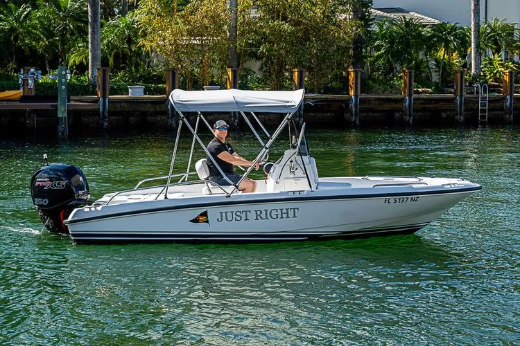 The Image of 2010 Boston Whaler 180 Dauntless - Image 1 - 1