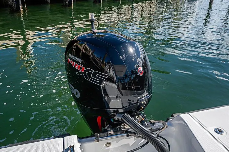 Slide: The Image of 2010 Boston Whaler 180 Dauntless - Image 9 - 9