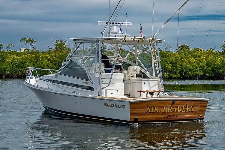 Slide: The Image of 2000 Blackfin 33 Open - Image 8 - 8