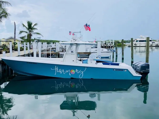 The Image of Contender 35 2013 - undefined