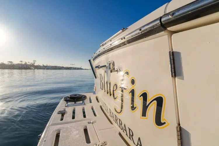 Slide: The Image of 2000 Tiara Yachts 4100 Open - Image 32 - 32