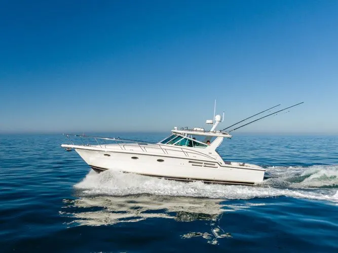 Slide: The Image of 2000 Tiara Yachts 4100 Open - Image 9 - 9