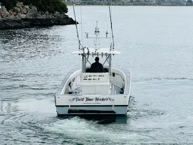 Slide: The Image of 2009 Seavee Ips - Image 6 - 6