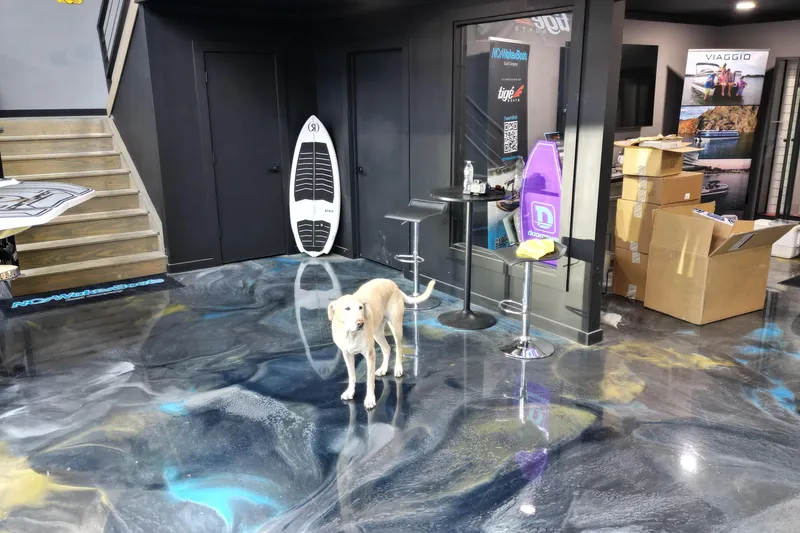 Slide: The Image of Dog standing on glossy floor in showroom with surfboard and boxes. - 26