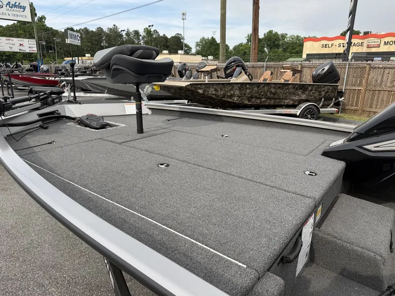 Slide: The Image of Lowe Stinger 195 Bass 2026 - 4