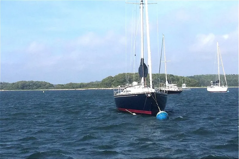 Slide: The Image of Sailboat anchored in a scenic bay, C&C 110 model, 2001, with lush green shoreline. - 6