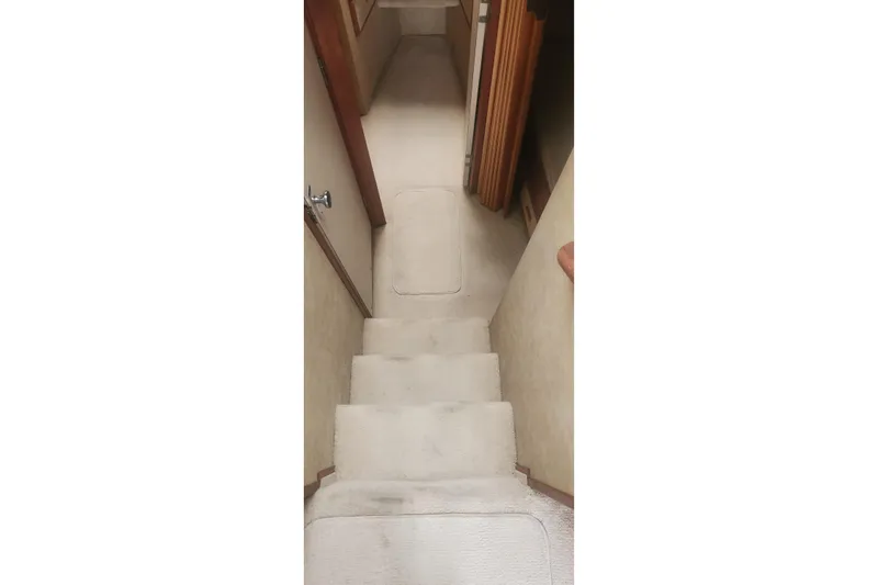 Slide: The Image of Interior stairs of a 1985 Bertram 33 Flybridge Cruiser, featuring carpeted steps. - 14