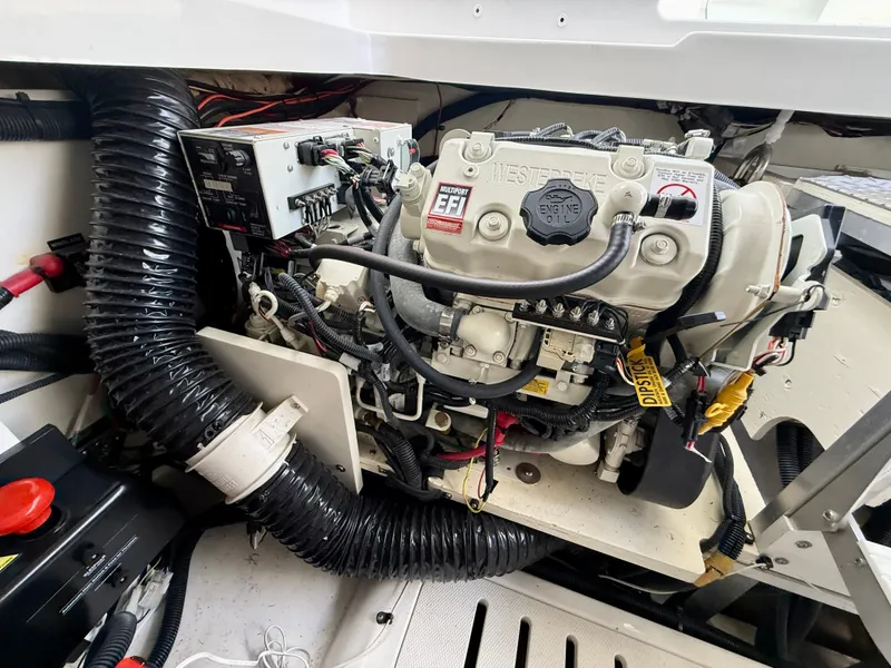 Slide: The Image of Sea Ray Sundancer 320 2023 - 13