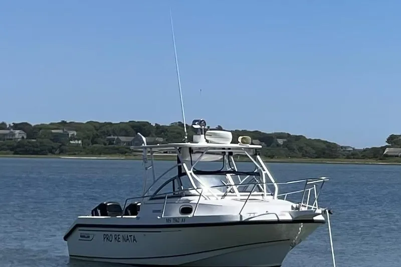 The Image of Boston Whaler 235 Conquest 2000 boat anchored on calm water with scenic background. - 0