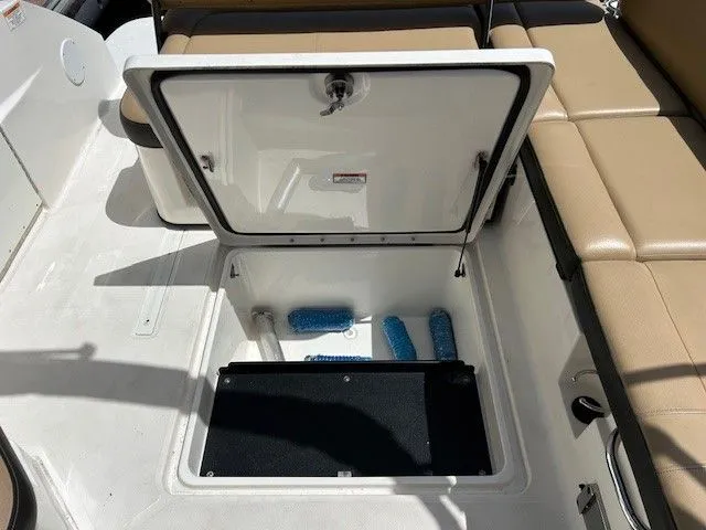 Slide: The Image of Sea Ray SDX 250 Outboard 2021 - 17