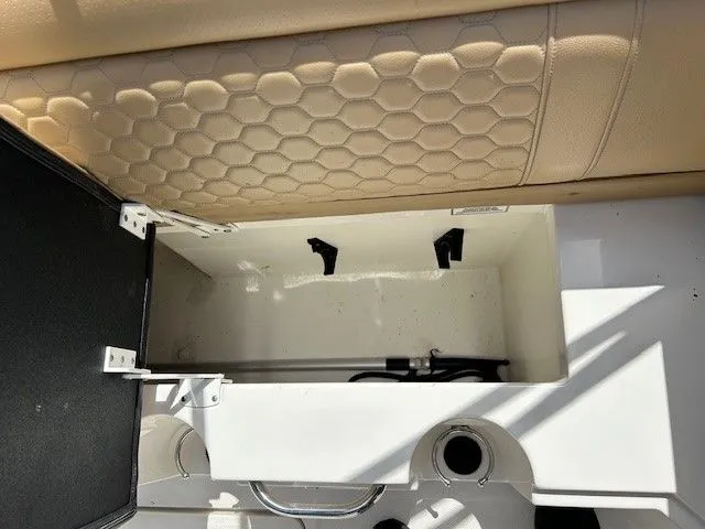 Slide: The Image of Sea Ray SDX 250 Outboard 2021 - 19
