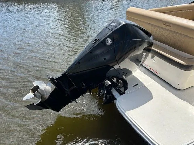 Slide: The Image of Sea Ray SDX 250 Outboard 2021 - 26
