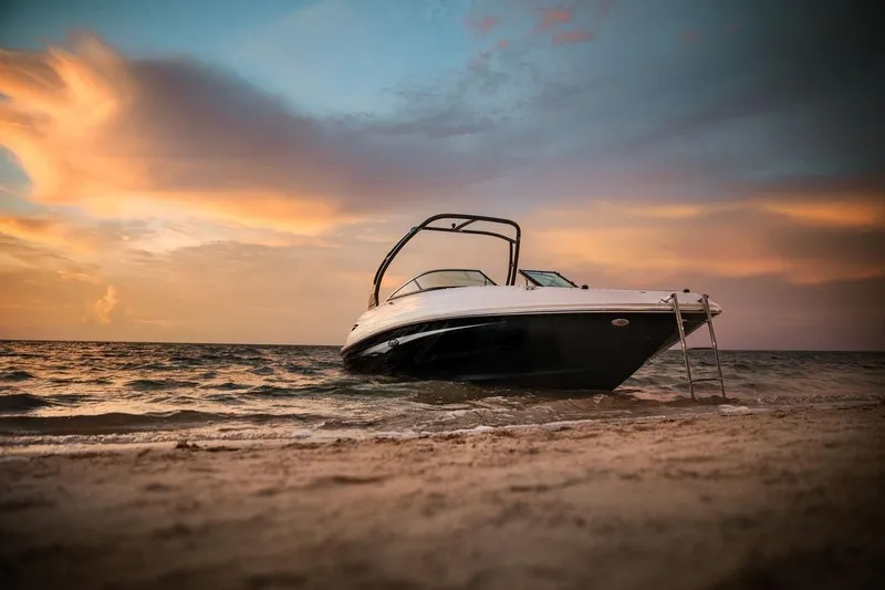 Slide: The Image of Sea Ray 240 Sundeck 2016 - 5