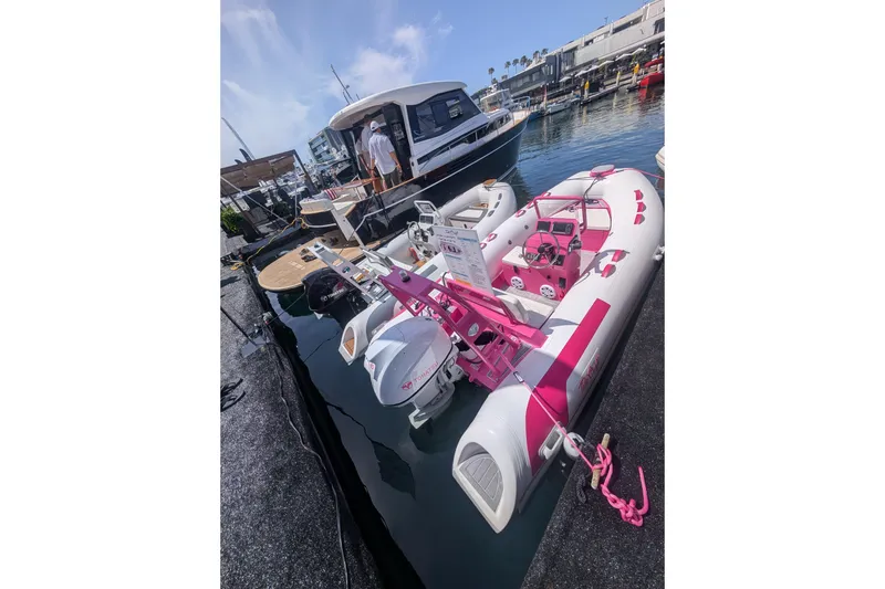 Slide: The Image of 2026 Tide Craft Custom Pink & White Catalina 13 boat docked at marina. - 9