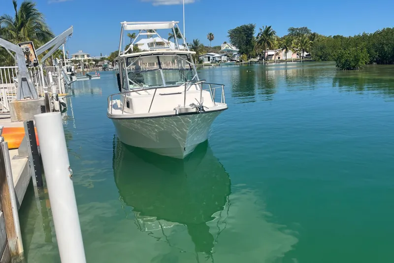 Slide: The Image of 2005 Parker 2510 Modified Vee Walkaround boat docked in serene tropical waters. - 9