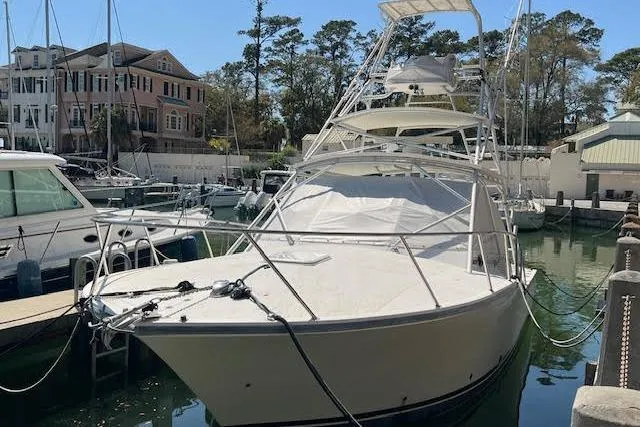 The Image of Carolina 35 2005 - undefined