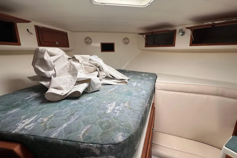 Slide: The Image of Carolina 35 2005 - 19