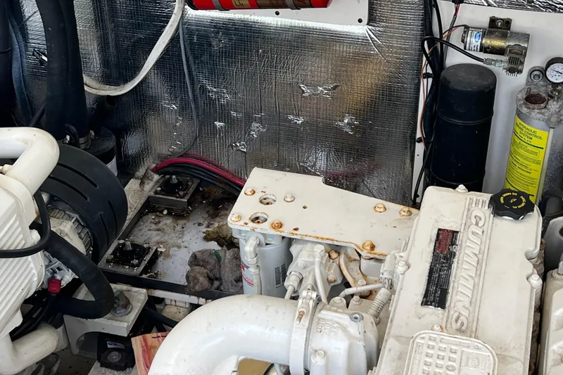 Slide: The Image of Carolina 35 2005 - 32