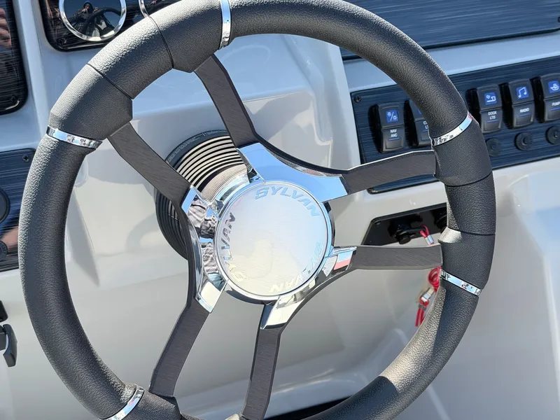 Slide: The Image of Sylvan 8522 LZ MIRAGE 2026 - 9