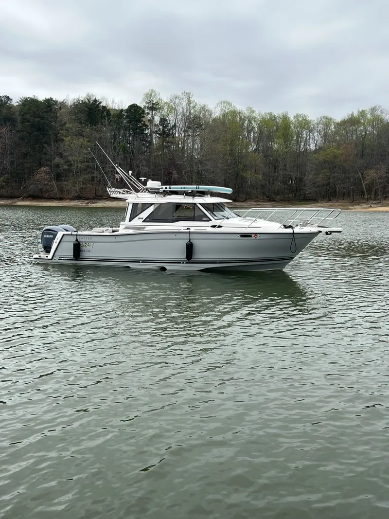 Slide: The Image of Cutwater C-288 Luxury Edition 2024 - 8