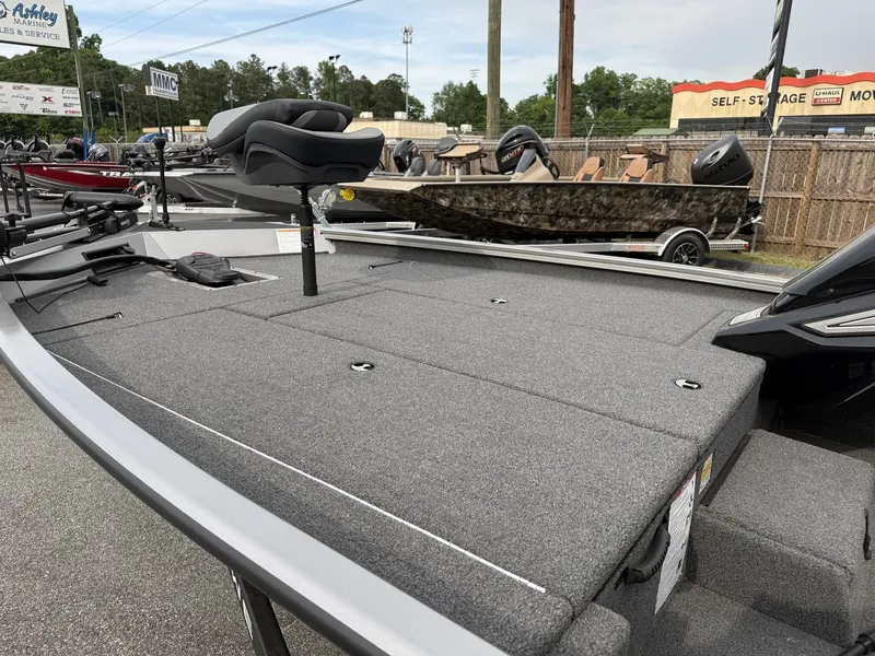 Slide: The Image of Lowe Stinger 195 Bass 2026 - 4