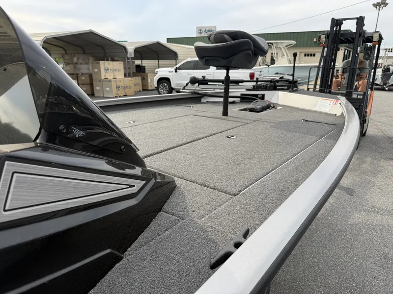 Slide: The Image of Lowe Stinger 195 Bass 2026 - 9