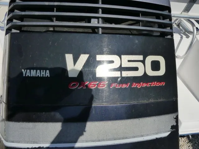 Slide: The Image of Cobia 230 Walkaround 2001 - 11