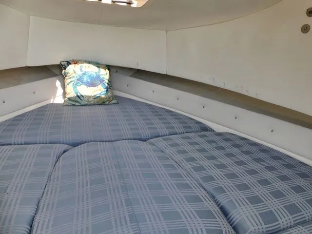 Slide: The Image of Cobia 230 Walkaround 2001 - 16