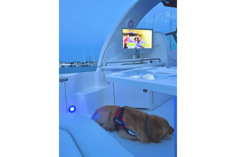 Slide: The Image of Golden retriever relaxing on a 2006 Sea Ray 340 Sundancer yacht with TV screen. - 21