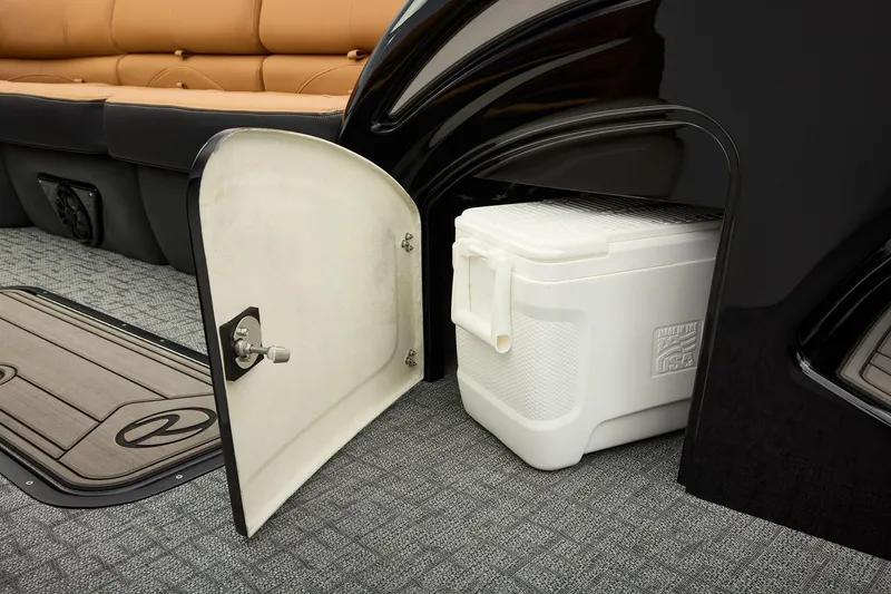 Slide: The Image of Regency 250 DL 2026 - 76