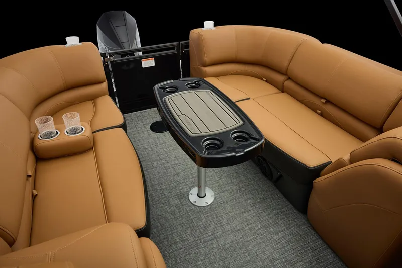 Slide: The Image of Regency 250 DL 2026 - 81