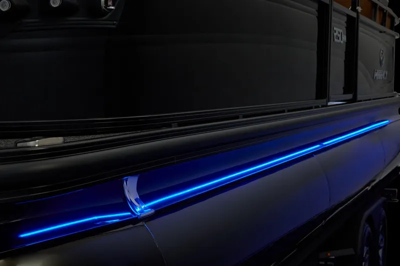 Slide: The Image of Regency 250 DL 2026 - 71