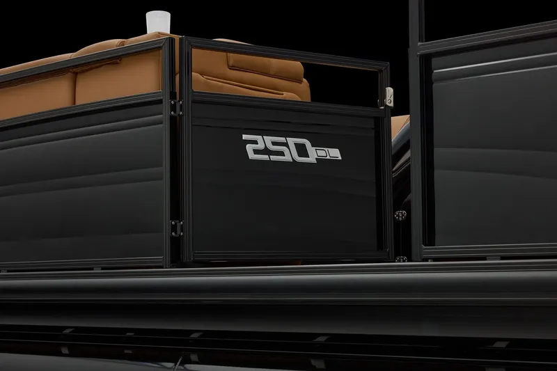 Slide: The Image of Regency 250 DL 2026 - 73