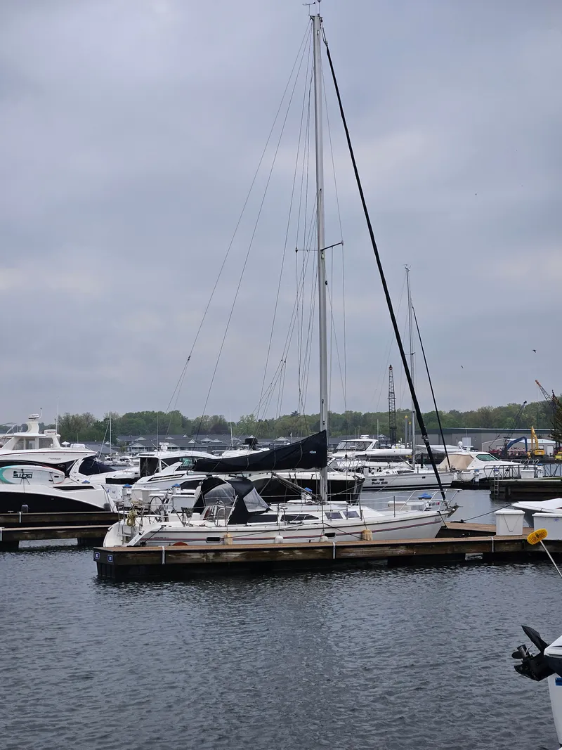 Slide: The Image of 1995 Catalina 36 MkII sailboat docked in marina. - 5