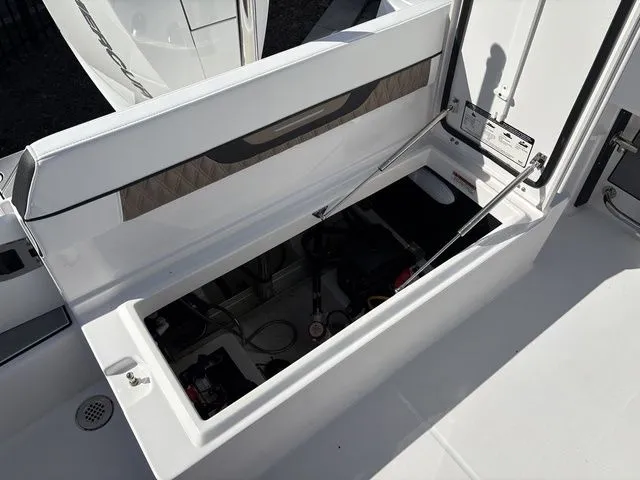 Slide: The Image of Blackfin 222 CC 2024 - 22