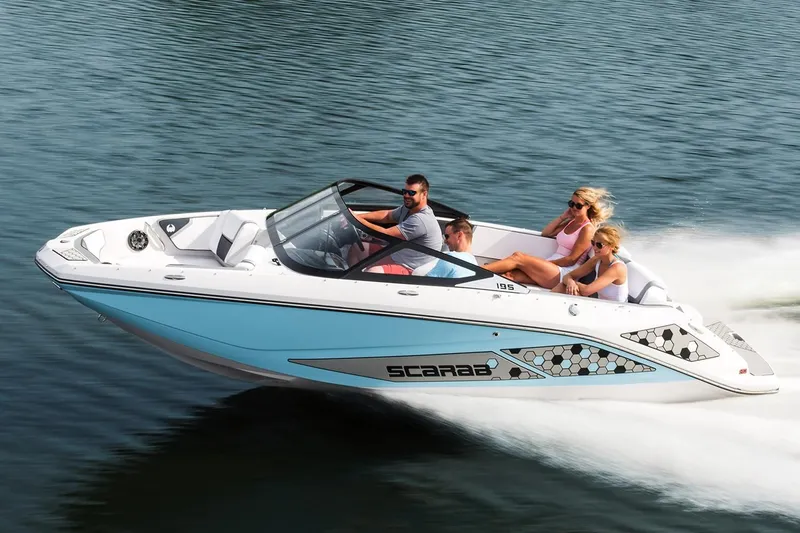 The Image of Scarab 195 ID 2019 - 1