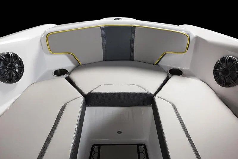 Slide: The Image of Scarab 195 ID 2019 - 15