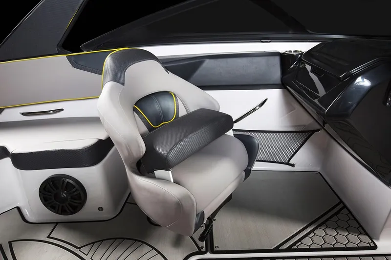 Slide: The Image of Scarab 195 ID 2019 - 17