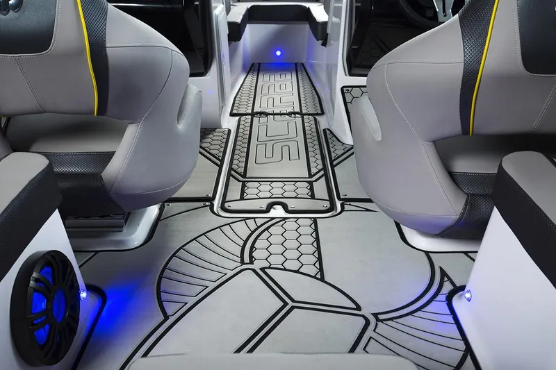 Slide: The Image of Scarab 195 ID 2019 - 18