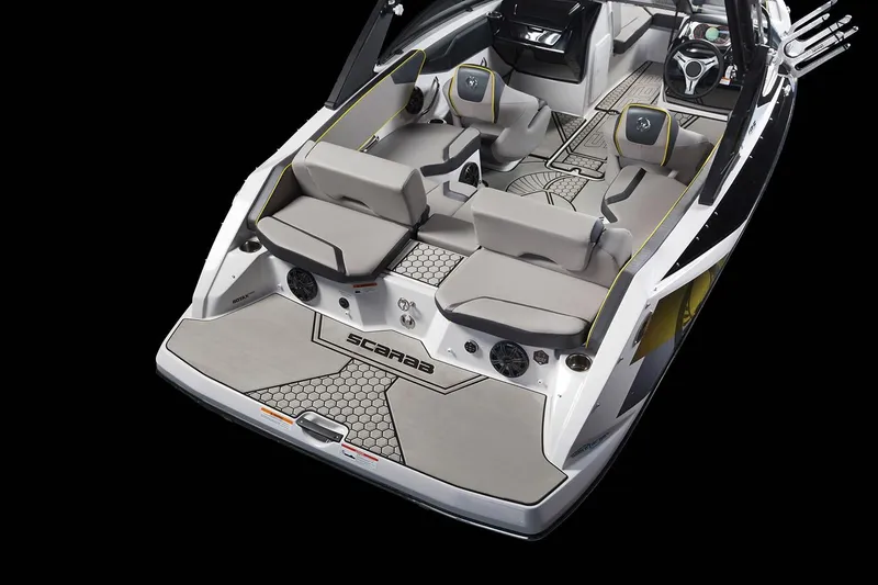 Slide: The Image of Scarab 195 ID 2019 - 19